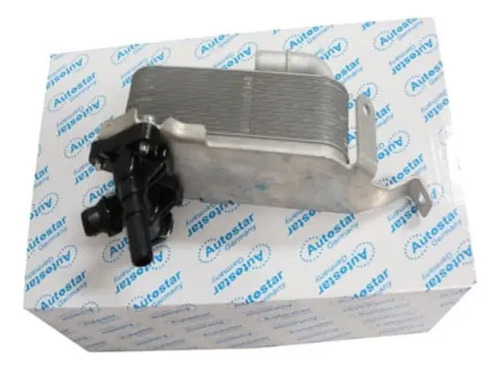 Radiador Óleo Câmbio BMW 17217593856