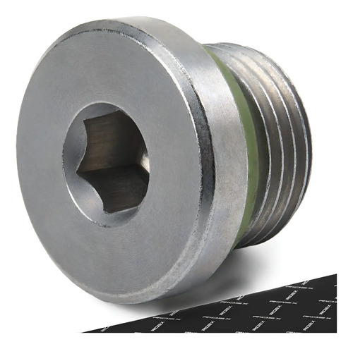Parafuso Cárter Óleo BMW 745i 4.4 333cv 02/05