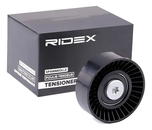 Polia Desvio Correia Poly V BMW 06e903341a